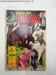 DC National Comics: - Son Of Tomahawk : No. 137 : Dec. 1971 :