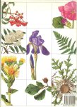 Prihoda, Antonin .. Redactie : Anita Middel  omslag van Ton Wiebelt  de vertaling is van Nannie Nieland - Weits - Geneeskrachtige Planten .. Vroeger en nu , met prachtige kleuren illustraties  om boek om in te grasduinen