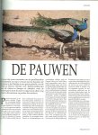 Honders, J .. Zuidermeer met medewerking van A. Wapenaar Hoogwoud en N. Kuipers - Moessonbos en regenwoud,Dieren in het wild,vleerhonden, pauwen, ringstaartmaki, vampiers, boa's, kolibries, paradijsvogels, vogelspinnen