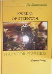 Bakker, Piet - Misdadige praktijken  (Abortus in 1931)