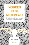 Bart Lutters - Vonken in de meterkast