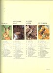 Honders, J .. Zuidermeer en de redactie The Reader's Digest - Europese Loofbossen , Uit de serie Dieren in het wild, Kerkuil, Wildzwijn, Bijeneter, Bonte Specht, Hazen, Vlaamse gaai, Genetkatten, Honingbij  .