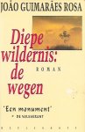 ROSA Guimarães João - Diepe wildernis: de wegen (vertaling van Grande Sertão: Veredas - 1956)