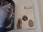Daniel Pajaud; translated by J. Peter Tallon ; photographies by Nelly Bariand - Marvellous world of fossils.