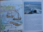 Nienhuis, P.H., R.J.B.M. Willems (red), R.H.G. Kleingeld (fotografie) - Mens & Zee & Land. Het beheer van het Zeeuwse landschap