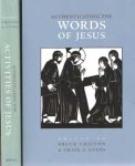 Chilton, Bruce & Craig A. Evans - Authenticating the Words of Jesus & Authenticating the Activities of Jesus