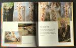 Man-Hua, Yang - De trotse giraf