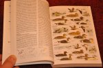 Mullarney, Killian / Svensson, Lars / Zetterström, Dan / Grant, Peter J. - ANWB Vogelgids van Europa Mullarney, Killian / Svensson, Lars / Zetterström, Dan / Grant, Peter J. - ANWB Vogelgids van Europa