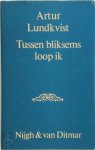 Artur Lundkvist 115898, Rudy Bedacht 171069 - Tussen bliksems loop ik Bloemlezing van gedichten gepubliceerd 1928-1977