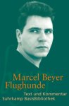 Beyer, Marcel - Flughunde