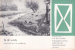 Blijdestijn, J.P. van (herz. tekst) - In de weide [Schoolplaten voor het onderwijs in de Kennis der Natuur, 1e serie, nr. 2]