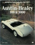 John Heilig 51352 - Austin-Healey 100 and 3000