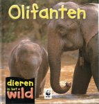 P. Kendell - Olifanten / Dieren in het wild