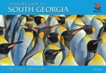 Sally Poncet - A Visitor's Guide to South Georgia