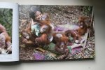 Schuster, Gerd; Smits, Willie; Ullal, Jay - achtergrond - foto's - feiten- DE DENKERS VAN DE JUNGLE  Het orangutan rapport