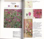 Meeus, Marcel - Courante zaaibloemen