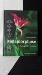 Suchantke, Andreas, - Metamorphose. Kunstgriff der Evolution.