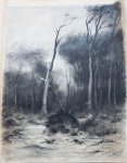 WERLEMANN, HAAGSCHE BOS - [Charcoal drawing] Grote houtskooltekening Haagsche bosch (Haagse bos) 1912 door Carl Werlemann, 60x47 cm.