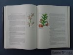 Helen L. Valmayor and Dick Baldovino (photogr.). - Orchidiana Philippiniana. Volume 1.