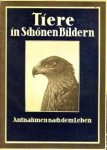  - Tiere in schönen Bildern