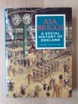 Briggs, Asa - A Social History of England / New Edition