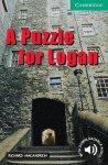 Richard Macandrew - A Puzzle for Logan Level 3