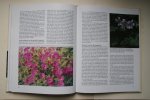 Horn, J. ten; W. Oudshoorn - De Onderhoudsvriendelijke Tuin ideeen voor ontwerp en beplanting Horn, J. ten; W. Oudshoorn - De Onderhoudsvriendelijke Tuin ideeen voor ontwerp en beplanting