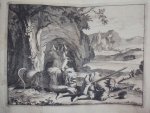 Pieter van der Aa - Naaukeurige versameling der gedenk-waardigste Zee en Land-Reysen na Oost en West-Indien [...] gedaan zedert het jaar 1636 tot 1670