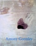 Sune Nordgren; Lewis Biggs & Declan McGonagle (preface) - Antony Gormley: Malmö Konsthall, Tate Gallery Liverpool, Irish Museum of Modern Art