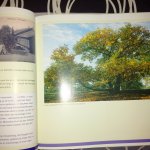 Lauriks, Hedwig - Grenspark De Zoom- Kalmthoutse Heide