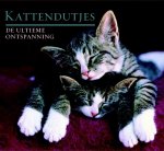  - Kattendutjes