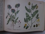 Slooten, A. van. - Kleine plantenatlas. Inleiding tot de kennis der flora van Nederland en daarbuiten.