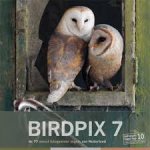 Schoonhoven, Daan - Birdpix  7.  De 77 meest fotogenieke vogels van Nederland.