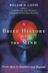 William H. Calvin - A brief history of the mind from apes to intellect and beyond
