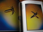 Brackenbury, John - Insects in Flight