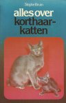 Bruin - Alles over korthaarkatten