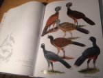 Delacour, Jean & Dean Amadon, Josep del Hoyo & Anna Motis - Curassows and related Birds, new edition