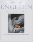 Zahn, C. - Engelen / over de schoonheid van stille boodschappers