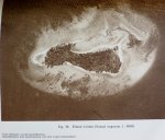 Umbgrove, J.H.F., - De Koraalriffen in de Baai van Batavia. With summary in English)