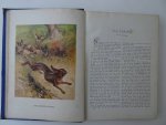 Louwerse, P. (red.). - Voor 't Jonge Volkje. Geïllustreerd Tijdschrift voor de Jeugd. Dertigste deel.