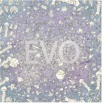 Jurian Moller - Evo