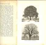 Nuttall C. Clarke, vertaald door W. Kufhus - Onze boomen, hun groei en bloei