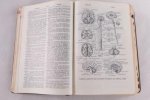 Agnew, L.R.C. e.a - Dorland's Illustrated Medical Dictionary 24th edition (3 foto's)