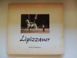 Hohmann Jan J.A. - Lipizzaner