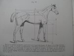 Quadekker, E.A.L. - Het Paardenboek - een geillustreerd handboek voor iederen bezitter en liefhebber van paarden - Drie delen