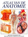 Smink, Ans - Atlas van de anatomie