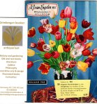  - Nursery catalogue A. J. van Engelen Hillegom  autumn 1965