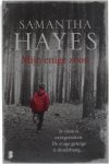 Hayes, Samantha - Mijn enige zoon