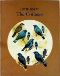 David Snow - The Cotingas