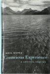 Anil Gupta 54211 - Conscious Experience A Logical Inquiry